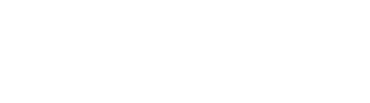 logo flugger